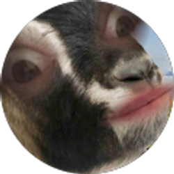 Profile photo of H3RO G1RL