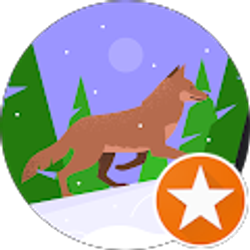 Profile photo of Kelli Katchia