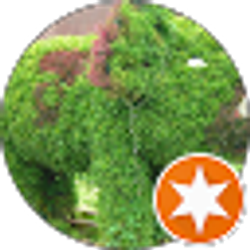 Profile photo of Edin Coralic