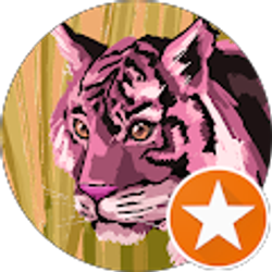 Profile photo of Steven Thomason