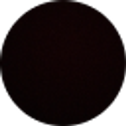 Profile photo of Debra Vela