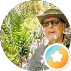 Profile photo of gene google Antonelli