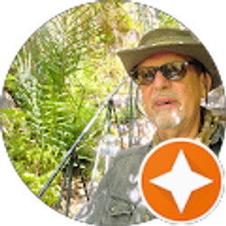 Profile photo of gene google Antonelli