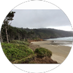 Profile photo of j P