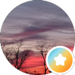 Profile photo of Rose