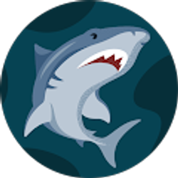 Profile photo of Selina D Collins