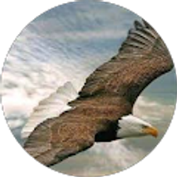 Profile photo of farid assel