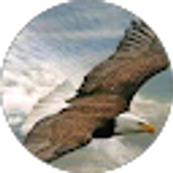 Profile photo of farid assel