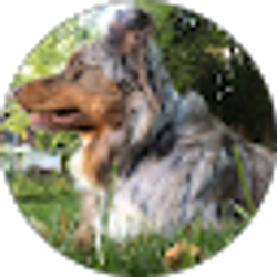Profile photo of David Drescher