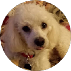 Profile photo of Anna Scolaro