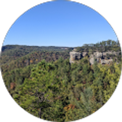 Profile photo of Anna Tran