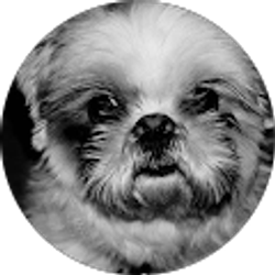 Profile photo of Jeremy Rubalcado