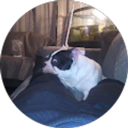 Profile photo of Josh Ernest