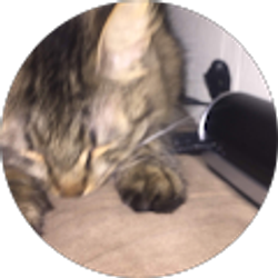 Profile photo of Jamie Suzanne