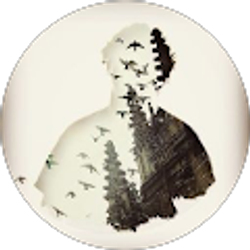 Profile photo of Collin Smith