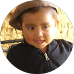 Profile photo of Jesus López Chávez