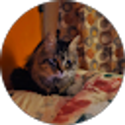 Profile photo of Junior A