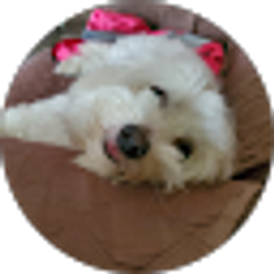 Profile photo of Whitney Christeson