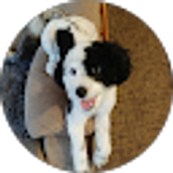 Profile photo of Albert Anderson