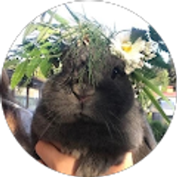 Profile photo of Ella Phares