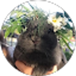Profile photo of Ella Phares