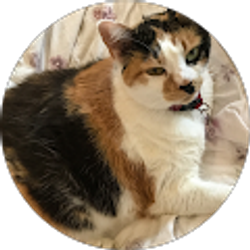 Profile photo of Jane Meyers