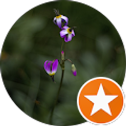 Profile photo of Hayden