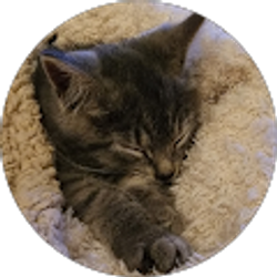 Profile photo of Sherrie