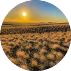 Profile photo of Marylin Jensen