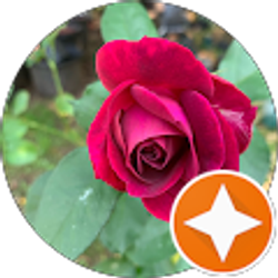 Profile photo of Dee Houghton