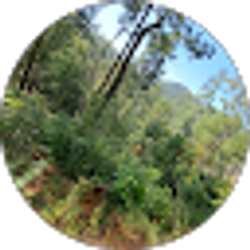 Profile photo of Sawyer Pate