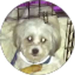 Profile photo of h i