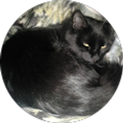 Profile photo of melisa “Melisa”