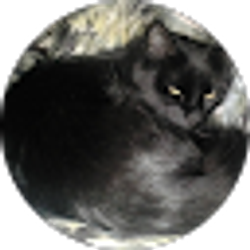 Profile photo of melisa “Melisa”