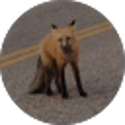 Profile photo of Dave Hubertus