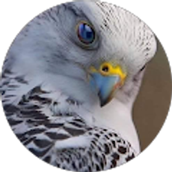 Profile photo of Rosa Tejada