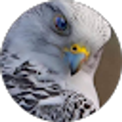 Profile photo of Rosa Tejada