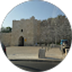 Profile photo of Ahed Arman