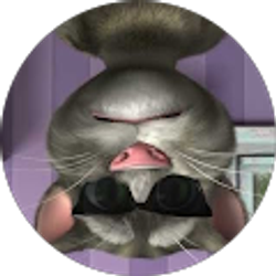 Profile photo of jingqiao zhang