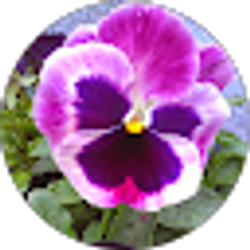 Profile photo of Theresa Hopkins