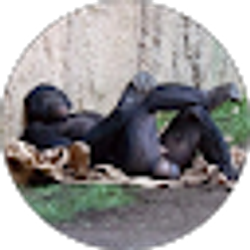 Profile photo of Jake Barton