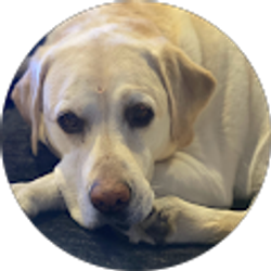 Profile photo of Tara Taylor Hartman