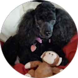 Profile photo of mary