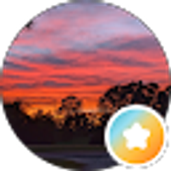 Profile photo of Lynn P