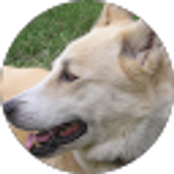 Profile photo of Rona S.