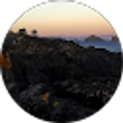 Profile photo of Ali QH