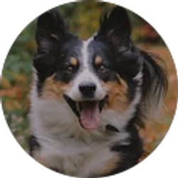 Profile photo of Kris Kimball