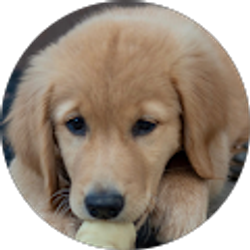 Profile photo of Jennifer Krebs