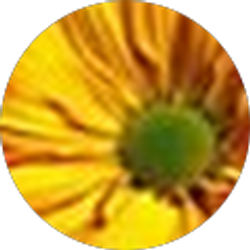 Profile photo of Lori Baranoski
