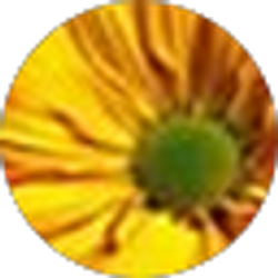 Profile photo of Lori Baranoski